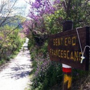 La Sosta B&B Stroncone Extérieur photo